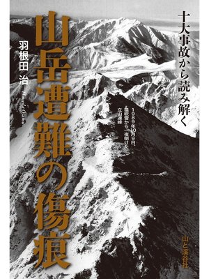 cover image of 十大事故から読み解く 山岳遭難の傷痕